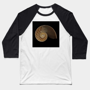 Chambered nautilus shell Baseball T-Shirt